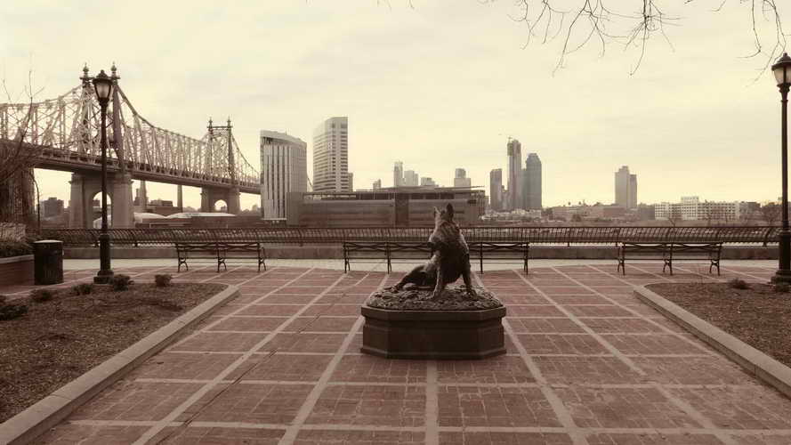 NYC_2020-01-27 07-47-22_P1070738